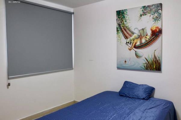 Blue Park, Área Metropolitana