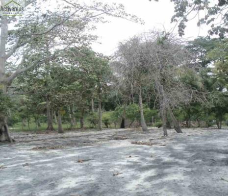 , Terreno en venta en Antón | P1991311