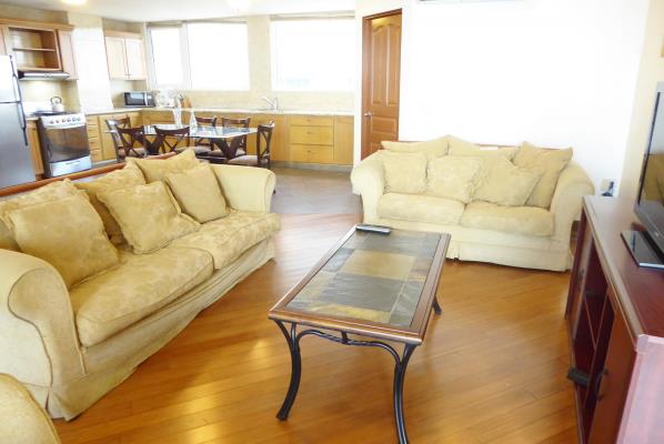 La Gaviota , Área Metropolitana