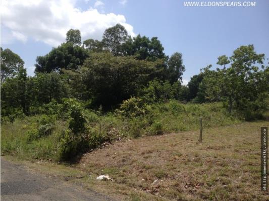 , Terreno en venta en Nueva Gorgona | P2009462