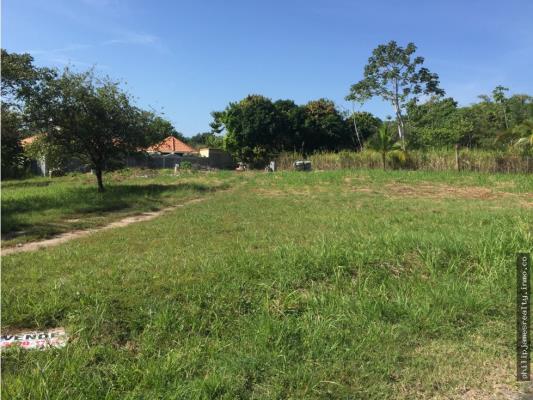 , Terreno en alquiler en Nueva Gorgona | P2009476