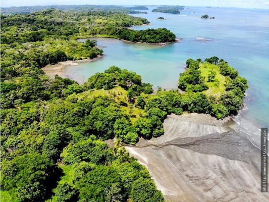 , Terreno en alquiler en David | P2009518