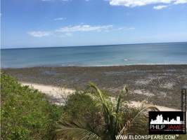 San Carlos San Carlos