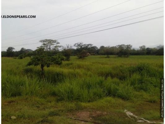 , Terreno en venta en Rio Grande | P2009735