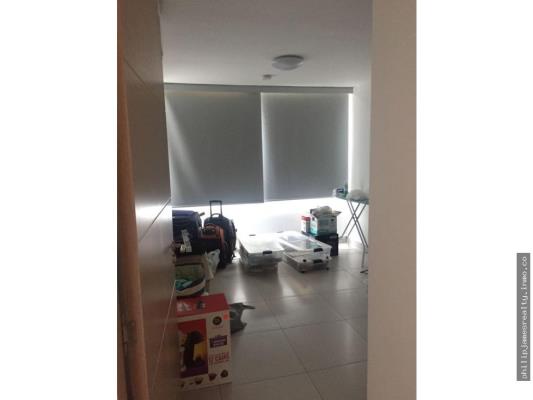 , Área Metropolitana