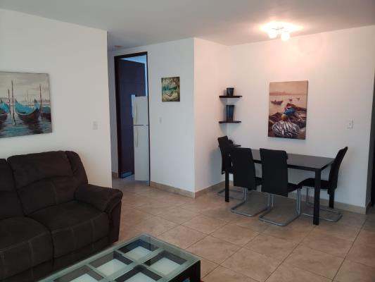 Marquis Tower, Área Metropolitana