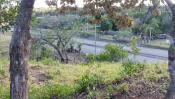 Alto Boquete Boquete