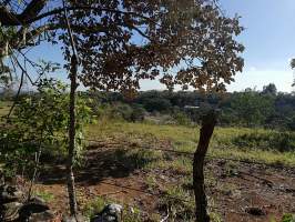 Alto Boquete Boquete