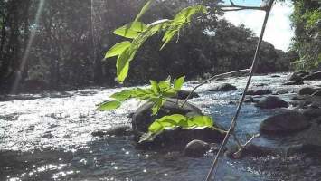 Alto Boquete Boquete