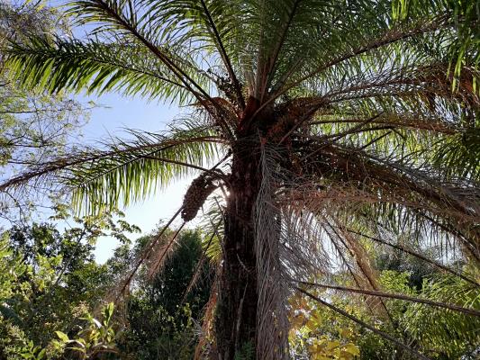 , Terreno en venta en Guaca | P2015531