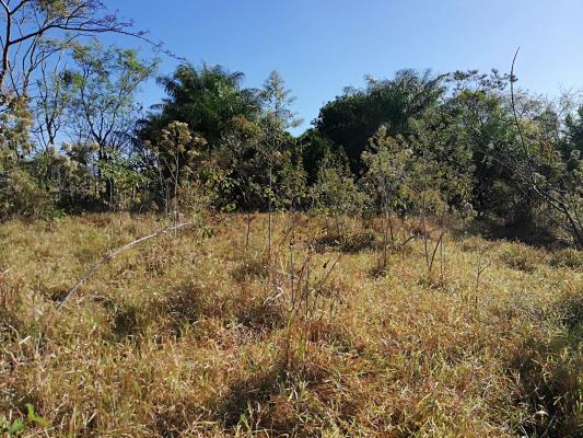 , terreno