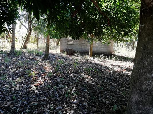 , Terreno en venta en Guaca | P2015531