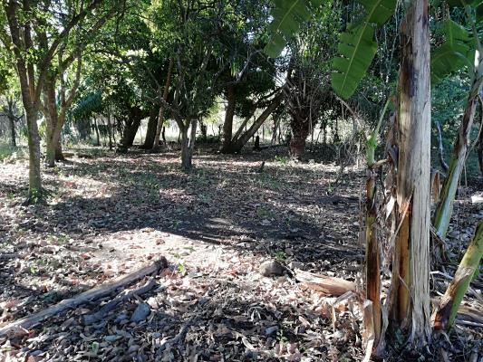 , Terreno en venta en Guaca | P2015531