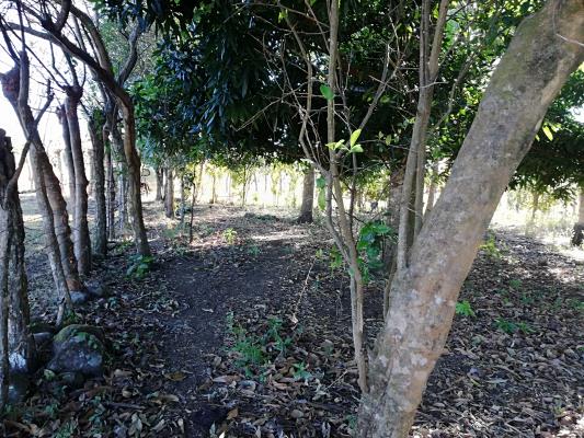 , Terreno en venta en Guaca | P2015531