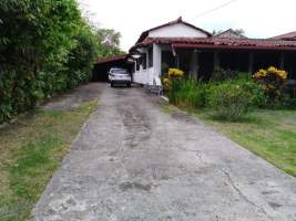 ymal