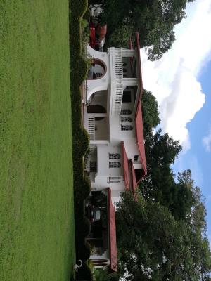 , Casa en venta en David | P2020921