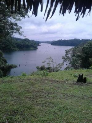 , terreno