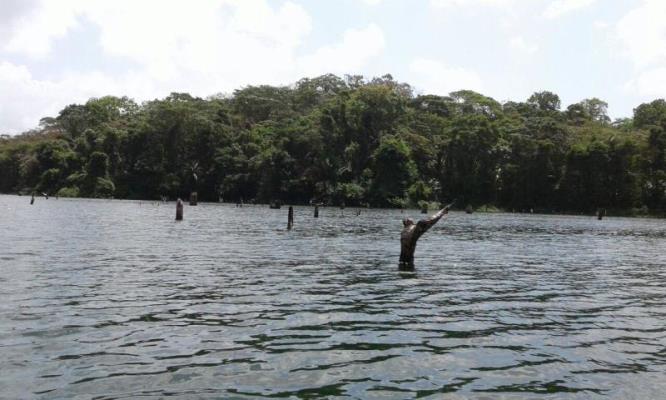 , Sabanitas
