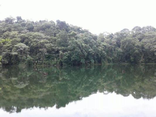 , Colón