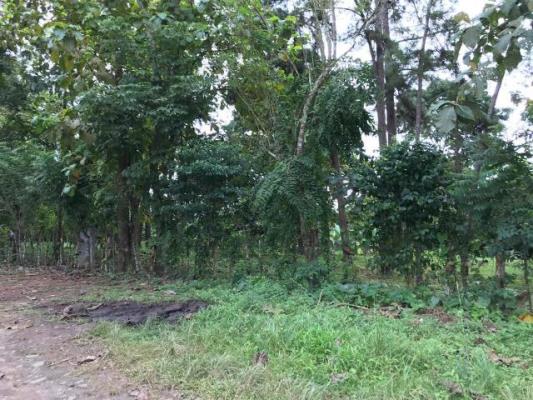 , Terreno en venta en Arraijan | P2024008