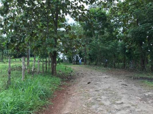 , Terreno en venta en Arraijan | P2024008