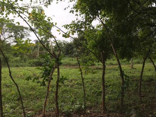 , Terreno en venta en Arraijan | P2024008