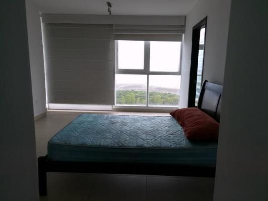 , Área Metropolitana