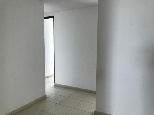 , Área Metropolitana