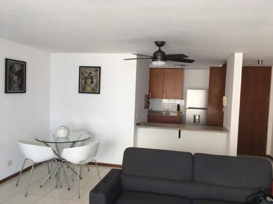 , Área Metropolitana