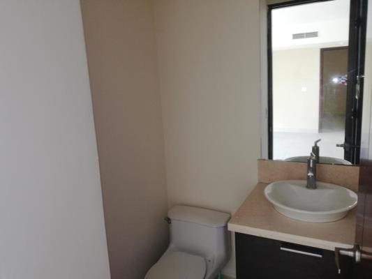 , Área Metropolitana