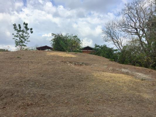 , Terreno en venta en Las Lajas | P2037700