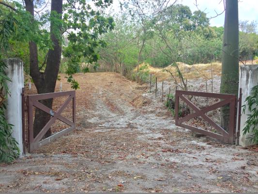 , Terreno en venta en Las Lajas | P2037700