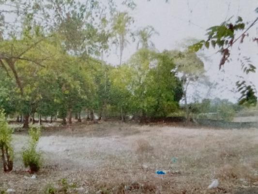 , Terreno en venta en Coclé | P2042257