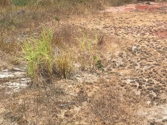 , Terreno en venta en El Valle | P2047367