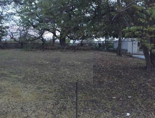, Terreno en alquiler en Nueva Gorgona | P2047388