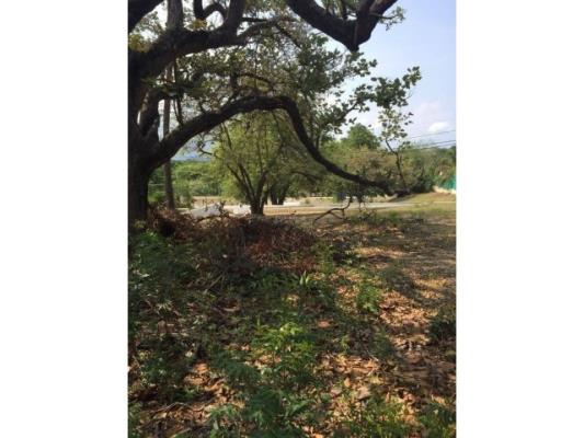 , Terreno en alquiler en Nueva Gorgona | P2047388