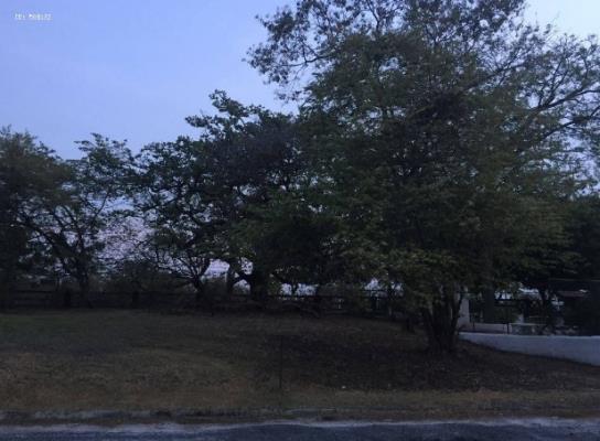 , Terreno en alquiler en Nueva Gorgona | P2047388