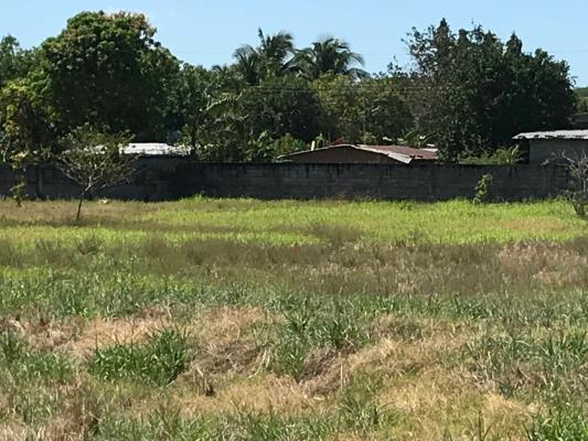 , Terreno en venta en Las Lomas | P2050818