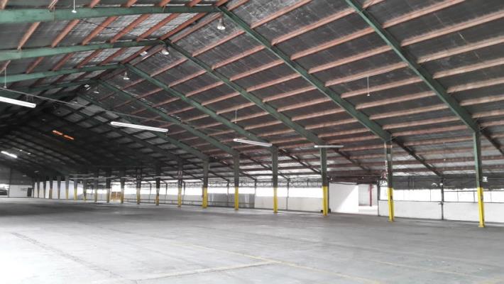 , Terreno en alquiler en Juan Diaz | P2052813