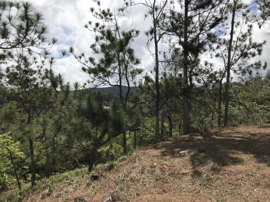 Altos de Cerro Azul, Panamá