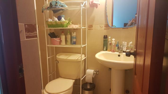 Brisas del Carmen, Apartamento en alquiler en Bella Vista | Brisas del Carmen -  P2056586