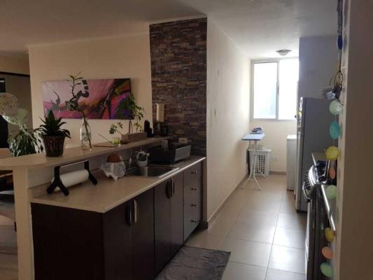 , Área Metropolitana