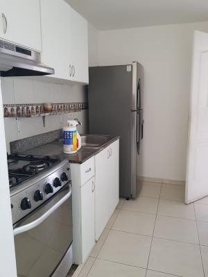 , Amelia Denis De Icaza