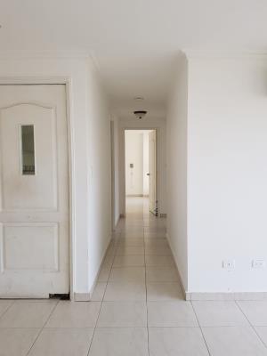 , Amelia Denis De Icaza