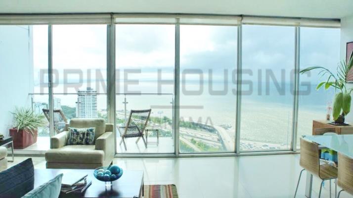 San Francisco 67, Área Metropolitana