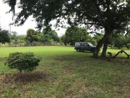 Nuevo Emperador Arraiján