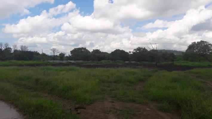 , Terreno en venta en Barrio Colón | P2068850