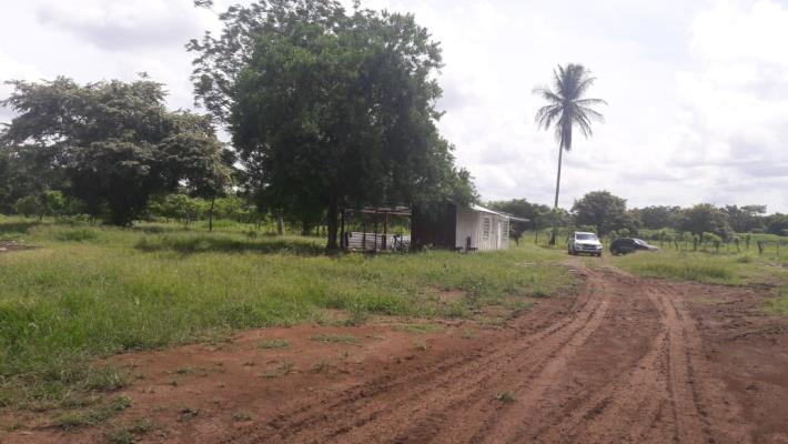 , Terreno en venta en Barrio Colón | P2068850