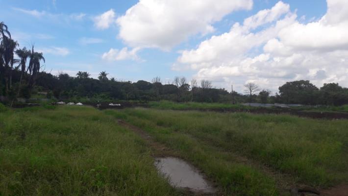 , Terreno en venta en Barrio Colón | P2068850