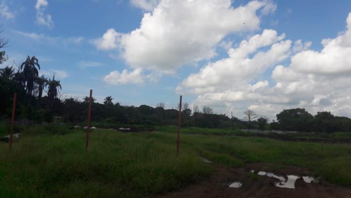 , Terreno en venta en Barrio Colón | P2068850